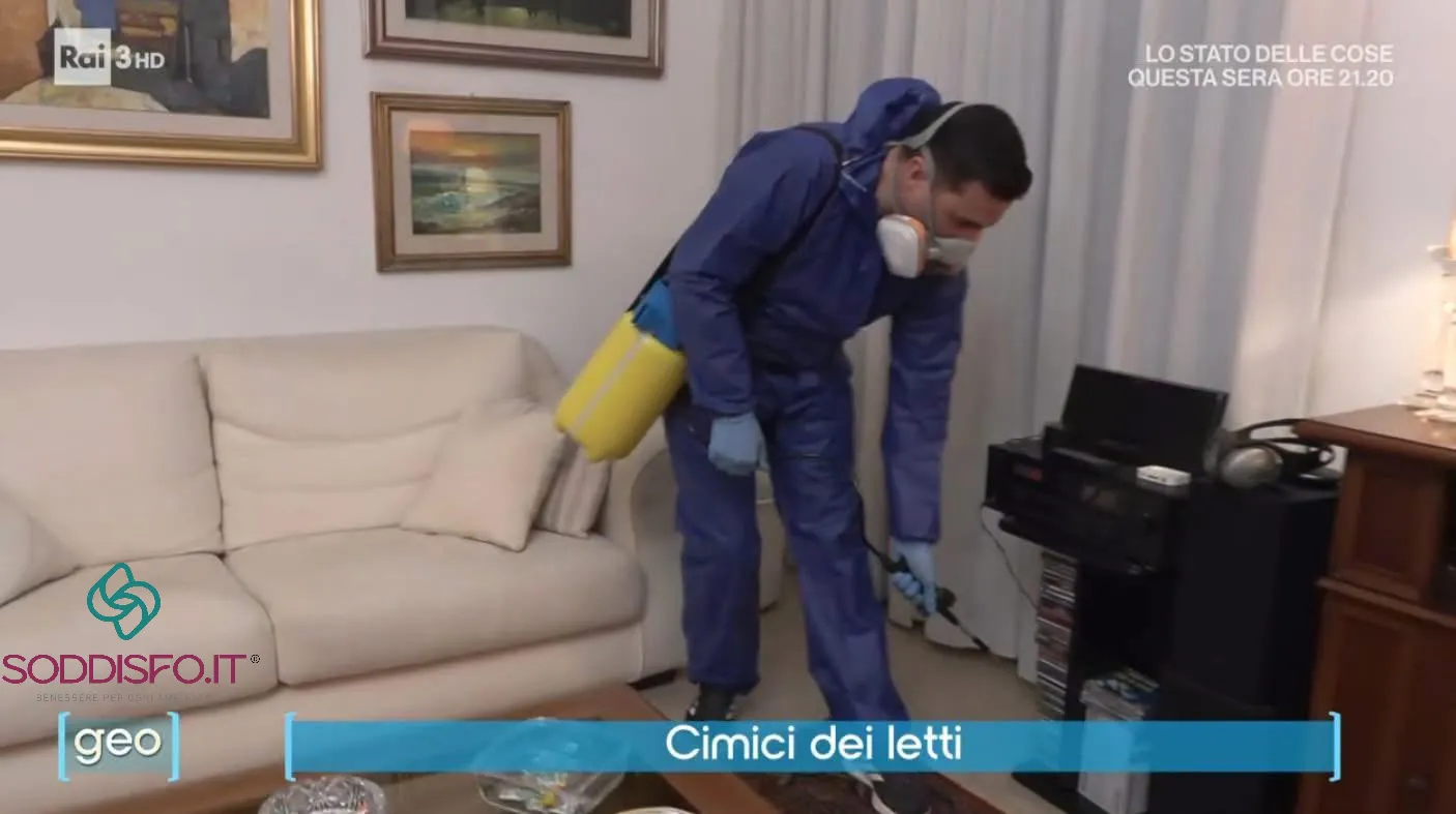 Squadra Soddisfo durante la simulazione per GEO